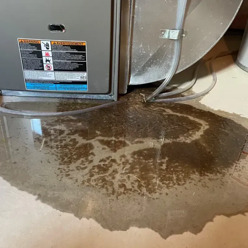 Appliance Leak Cleanup in Cloverdale, VA